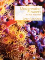 UNDERWATER FLOWERS