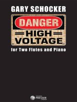 DANGER: HIGH VOLTAGE -PARTITION+PARTIES SEPAREES