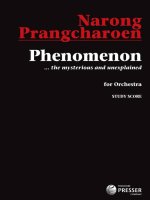 PHENOMENON ORCHESTRE
