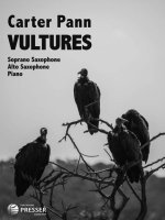 VULTURES -PARTITION+PARTIES SEPAREES