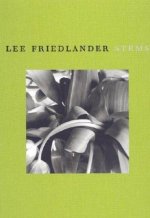 Lee Friedlander Stems /anglais