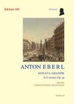 SONATA GRANDE IN G MINOR OP. 39