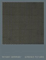 SCREENED PICTURE
