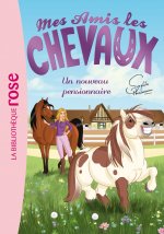 Mes amis les chevaux 1/Un nouveau pensionnaire