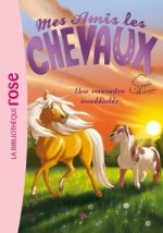 Mes amis les chevaux 06 - Une rencontre inoubliable