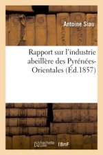 Rapport Sur l'Industrie Abeillere Des Pyrenees-Orientales