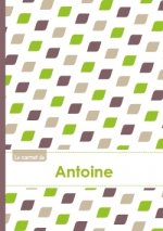 Le carnet d'Antoine - Lignes, 96p, A5 - Pe'tales Vert Taupe Gris