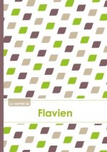 Le carnet de Flavien - Lignes, 96p, A5 - Pe'tales Vert Taupe Gris