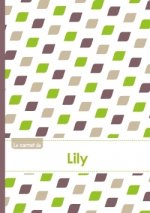 Le carnet de Lily - Lignes, 96p, A5 - Pe'tales Vert Taupe Gris
