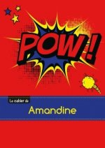 Le carnet d'Amandine - Blanc, 96p, A5 - Comics