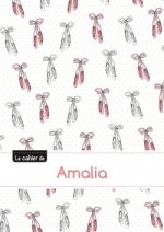 Le cahier d'Amalia - Séyès, 96p, A5 - Ballerine