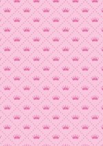 MYNOTEBOOK PRINCESSE SEYES,96P,A5
