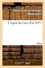 L'Esprit Des Lois
