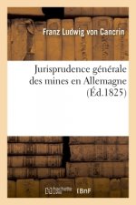 Jurisprudence Generale Des Mines En Allemagne