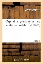 Orphelins, Grand Roman de Sentiment Inedit- Tome 1