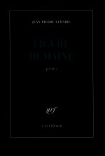 Figure humaine