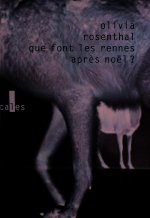 Que font les rennes après Noël ?