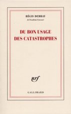 Du bon usage des catastrophes