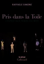 Pris dans la Toile