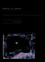 Les arcs-en-ciel du noir : Victor Hugo