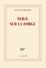 Neige sur la forge