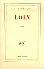 Loin