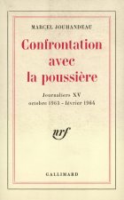 CONFRONTATION AVEC LA POUSSIERE
