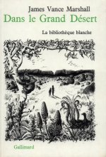 Dans le Grand Désert