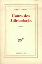 L'Ours des Adirondacks
