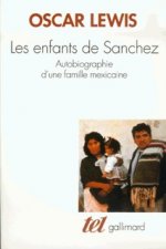 Les Enfants de Sánchez