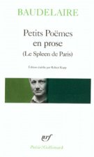PETITS POEMES EN PROSE