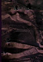 Le développement durable