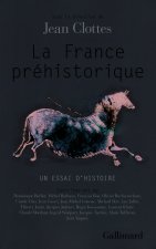 La France préhistorique