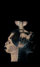 La Venus d'Ille/Colomba/Mateo Falcone