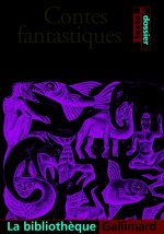 Contes fantastiques