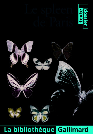 Le Spleen de Paris
