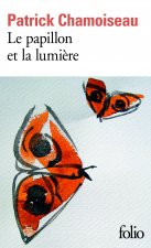 Le papillon et la lumiere