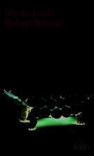 La carapace de la tortue