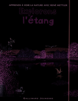 Explorons l'étang