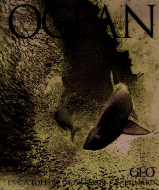 Océan