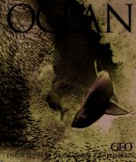 Océan