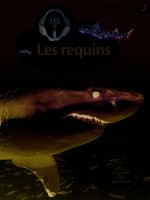 Les requins
