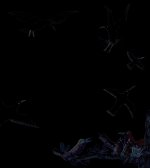 Au hasard des oiseaux et autres poèmes