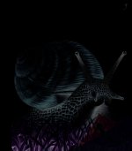 L'escargot