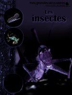 Les insectes