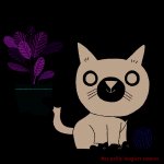 Mes animaux
