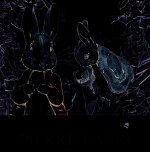 La petite bibliothèque de Pierre Lapin