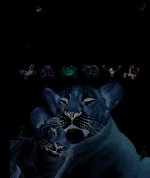 Le grand imagier des animaux