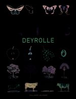 Le grand livre d'activités Deyrolle n° 1