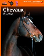 Les yeux de la decouverte